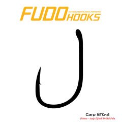 Fudo 2421 Carp STG-2 Black Nikel İğne 2